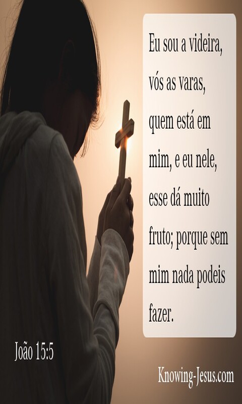 João 15:5 (sage)